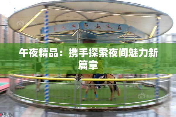午夜精品：携手探索夜间魅力新篇章