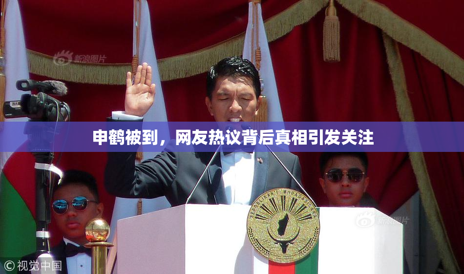 申鹤被到，网友热议背后真相引发关注