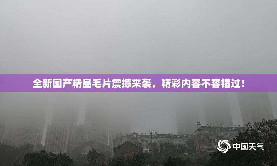 全新国产精品毛片震撼来袭，精彩内容不容错过！