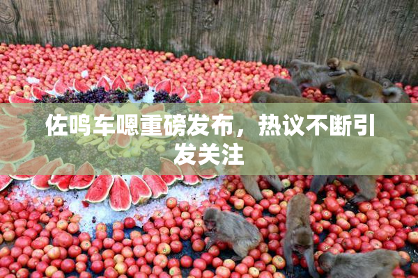 佐鸣车嗯重磅发布，热议不断引发关注