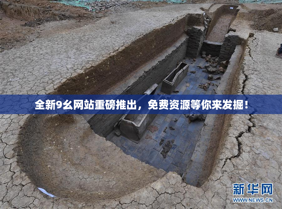 全新9幺网站重磅推出，免费资源等你来发掘！