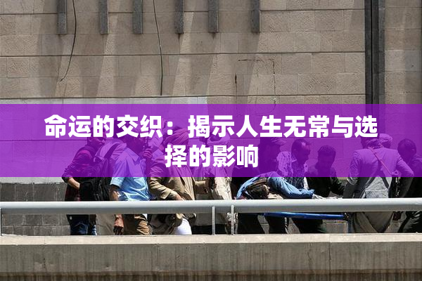 命运的交织：揭示人生无常与选择的影响