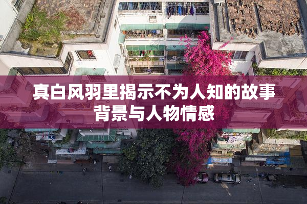 真白风羽里揭示不为人知的故事背景与人物情感