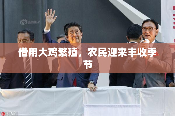 借用大鸡繁殖，农民迎来丰收季节