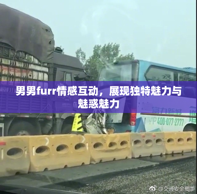 男男furr情感互动，展现独特魅力与魅惑魅力