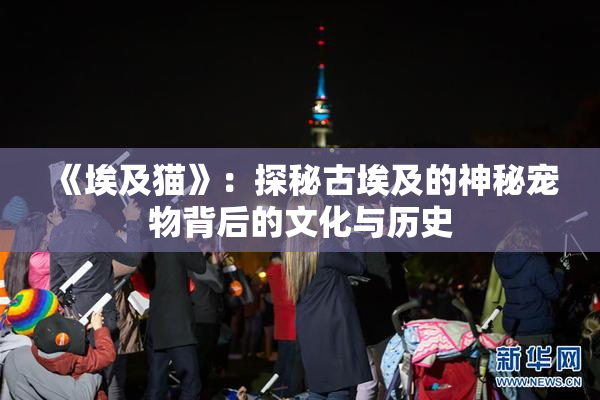 《埃及猫》：探秘古埃及的神秘宠物背后的文化与历史