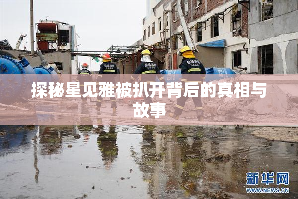 探秘星见雅被扒开背后的真相与故事