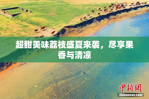 超甜美味荔枝盛夏来袭，尽享果香与清凉