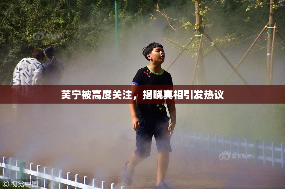 芙宁被高度关注，揭晓真相引发热议