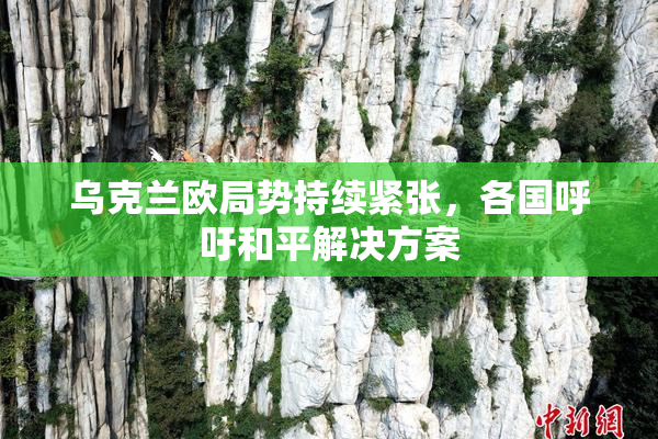 乌克兰欧局势持续紧张，各国呼吁和平解决方案