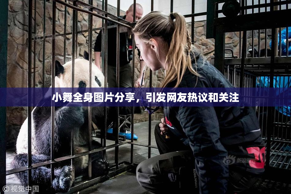 小舞全身图片分享，引发网友热议和关注