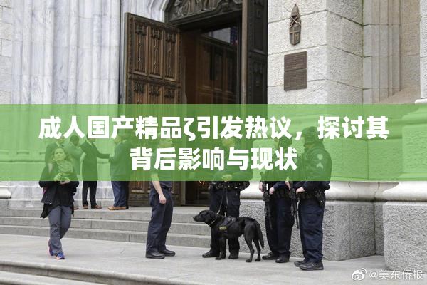 成人国产精品ζ引发热议，探讨其背后影响与现状