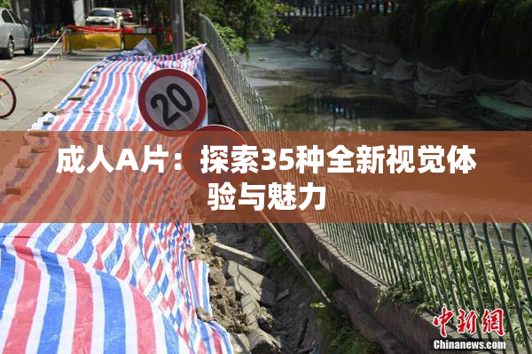 成人A片：探索35种全新视觉体验与魅力
