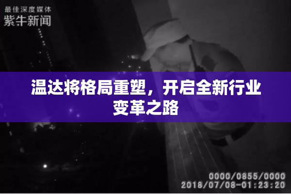 温达将格局重塑，开启全新行业变革之路