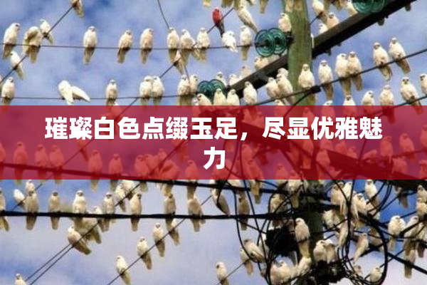 璀璨白色点缀玉足，尽显优雅魅力