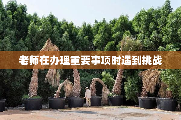 老师在办理重要事项时遇到挑战