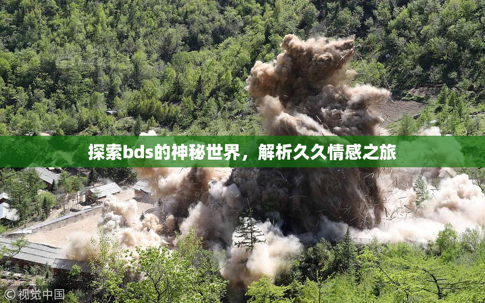 探索bds的神秘世界，解析久久情感之旅