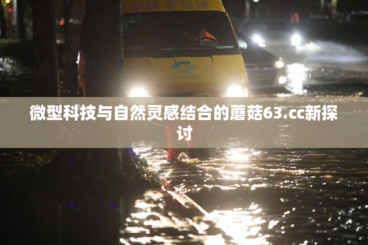 微型科技与自然灵感结合的蘑菇63.㏄新探讨