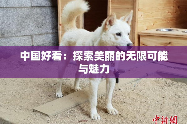 中国好看：探索美丽的无限可能与魅力