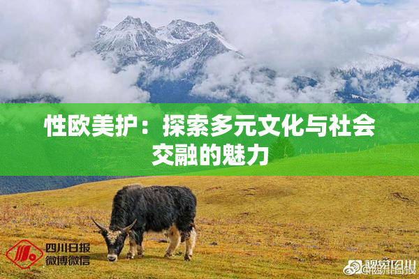 性欧美护：探索多元文化与社会交融的魅力