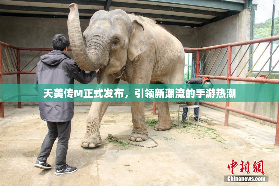 天美传M正式发布，引领新潮流的手游热潮