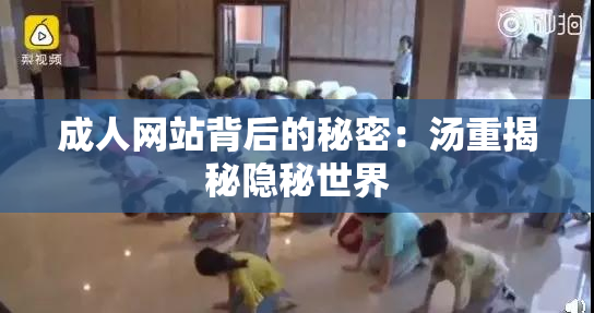 成人网站背后的秘密：汤重揭秘隐秘世界