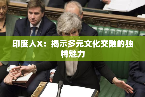印度人X：揭示多元文化交融的独特魅力