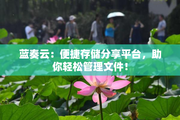 蓝奏云：便捷存储分享平台，助你轻松管理文件！