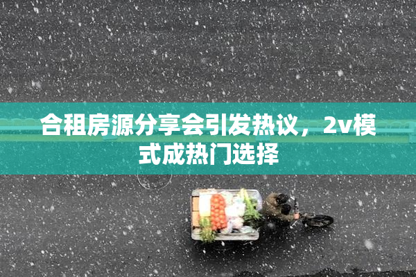 合租房源分享会引发热议，2v模式成热门选择