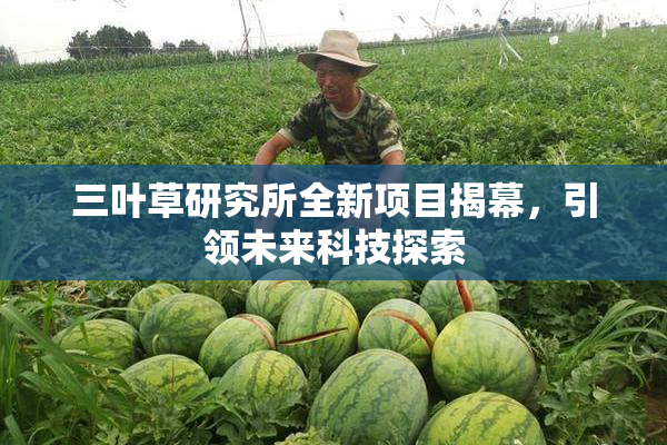 三叶草研究所全新项目揭幕，引领未来科技探索