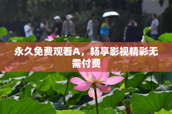 永久免费观看A，畅享影视精彩无需付费