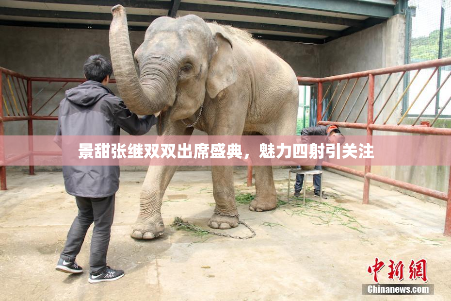景甜张继双双出席盛典，魅力四射引关注