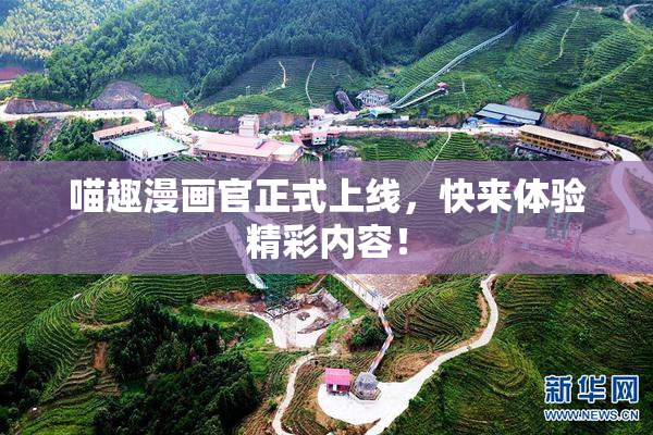 喵趣漫画官正式上线，快来体验精彩内容！