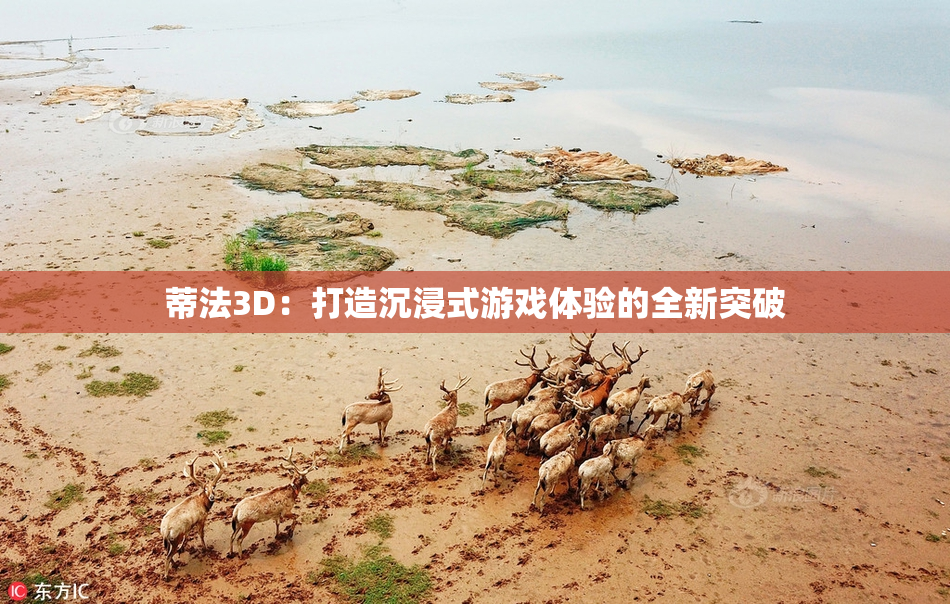 蒂法3D：打造沉浸式游戏体验的全新突破
