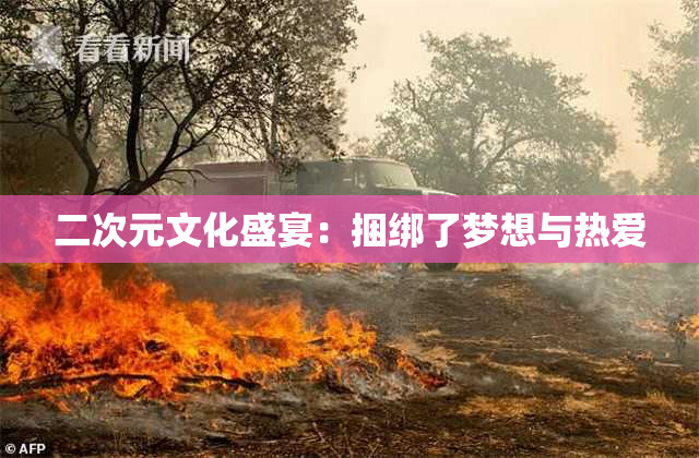 二次元文化盛宴：捆绑了梦想与热爱
