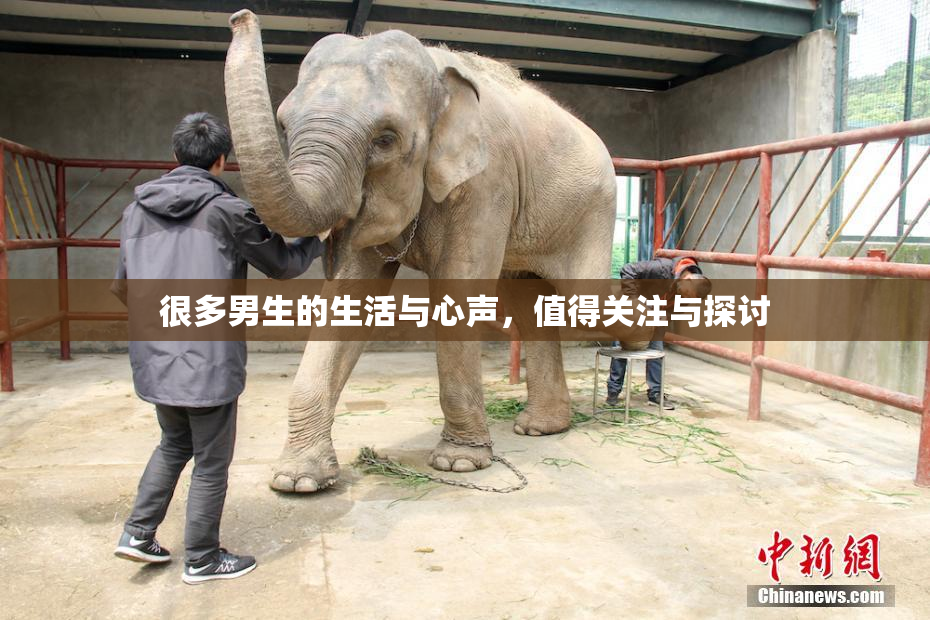 很多男生的生活与心声，值得关注与探讨
