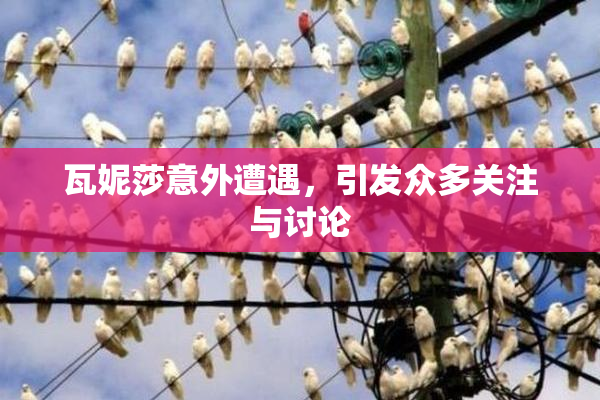 瓦妮莎意外遭遇，引发众多关注与讨论