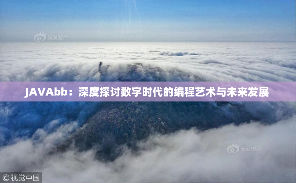 JAVAbb：深度探讨数字时代的编程艺术与未来发展