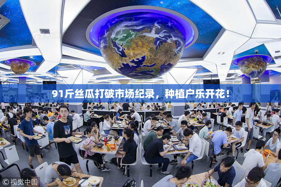 91斤丝瓜打破市场纪录，种植户乐开花！