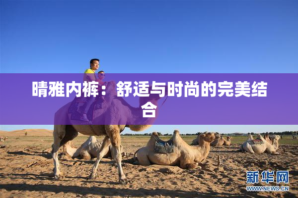 晴雅内裤：舒适与时尚的完美结合