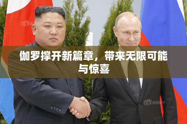伽罗撑开新篇章，带来无限可能与惊喜