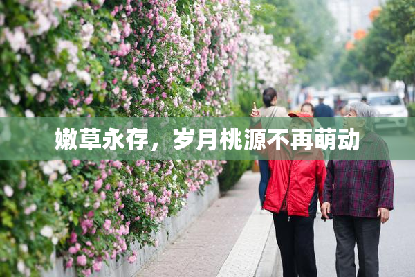 嫩草永存，岁月桃源不再萌动