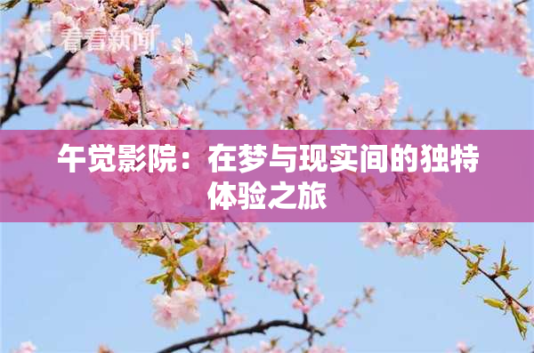 午觉影院：在梦与现实间的独特体验之旅
