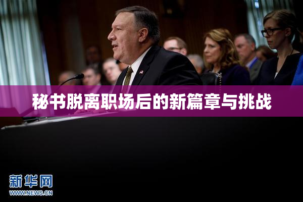 秘书脱离职场后的新篇章与挑战