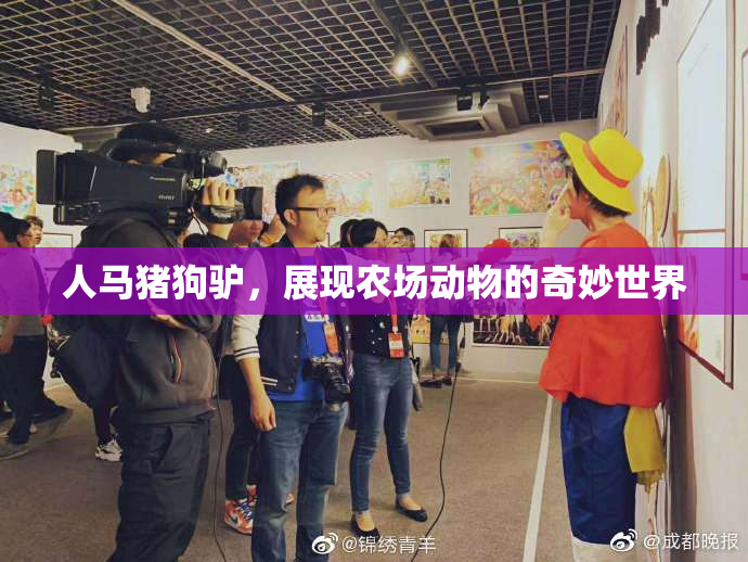人马猪狗驴，展现农场动物的奇妙世界