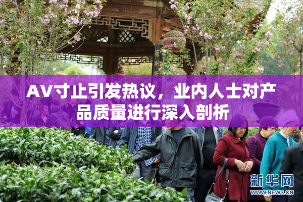 AV寸止引发热议，业内人士对产品质量进行深入剖析