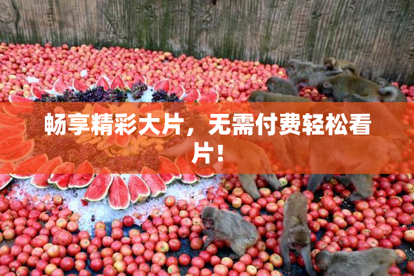 畅享精彩大片，无需付费轻松看片！