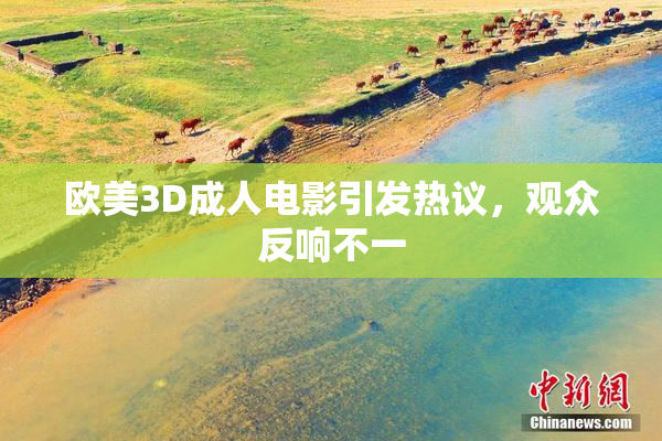 欧美3D成人电影引发热议，观众反响不一