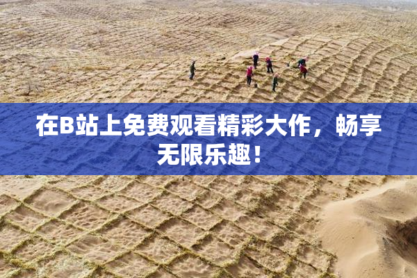在B站上免费观看精彩大作，畅享无限乐趣！