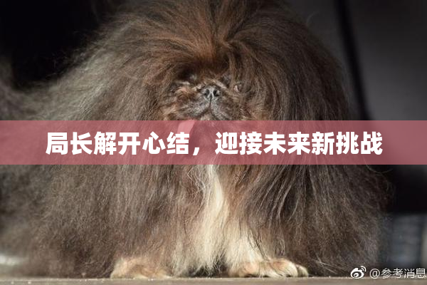 局长解开心结，迎接未来新挑战
